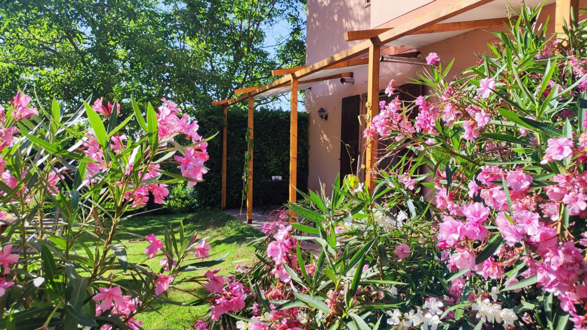 Camping Le Marche Apartments Gualdo di Macerata Exterior foto